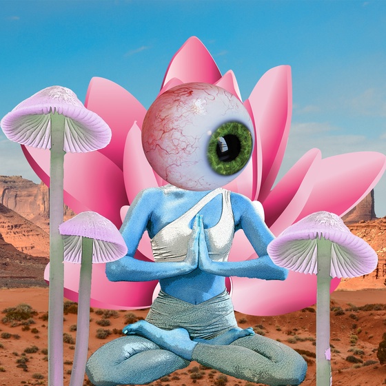 Guru #1646