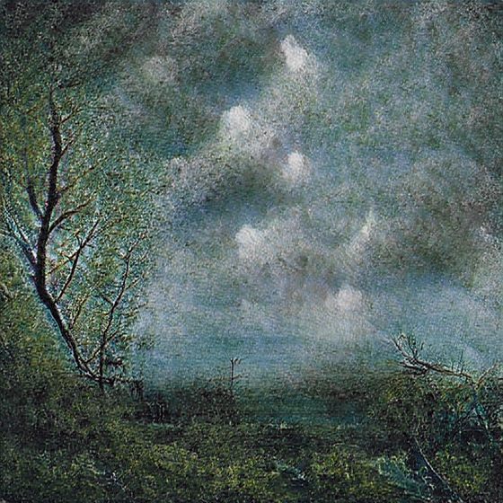 Trees In The Moonlight