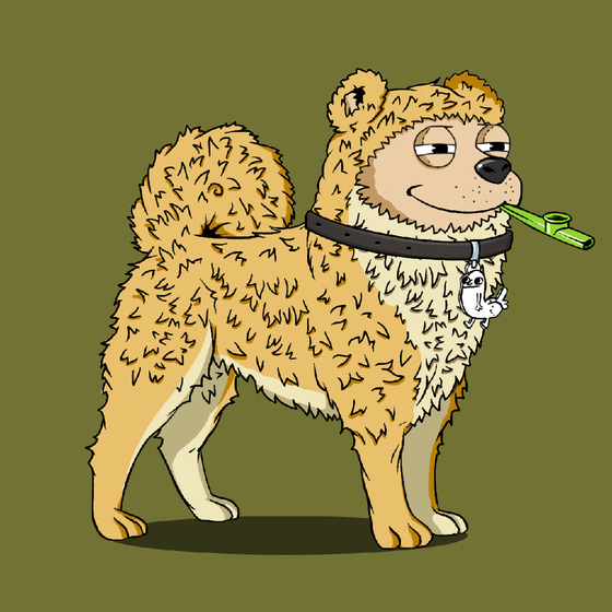y00ts Canine Club #1429