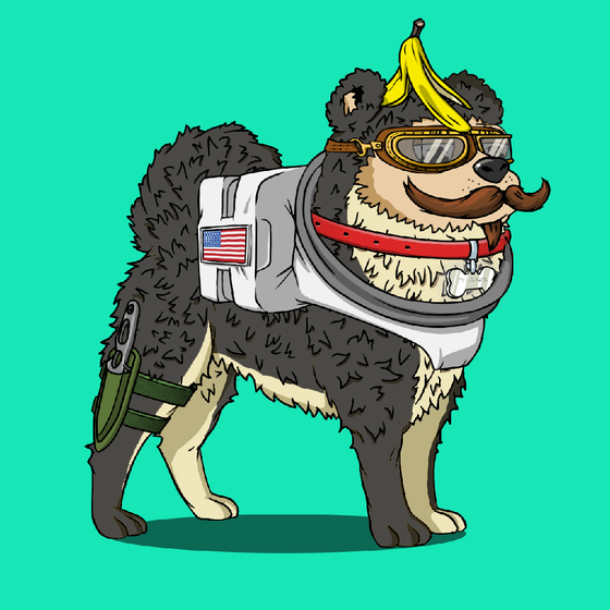 y00ts Canine Club #1934