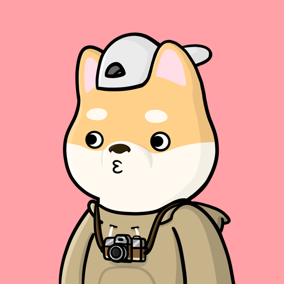 Shibe #5502