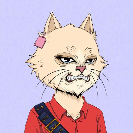 Angry Cat #4853