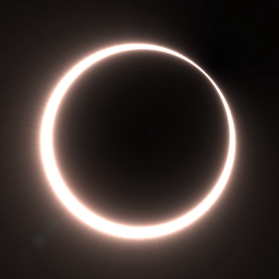 Totality #206