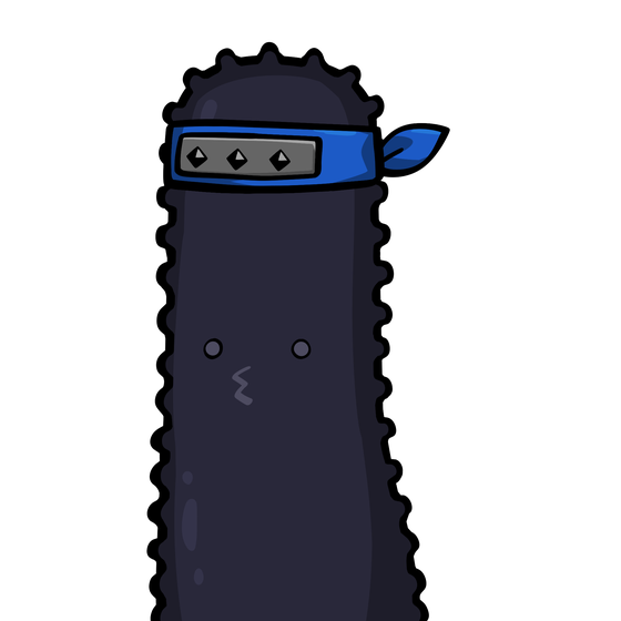 Sea cucumber-Origin #03877