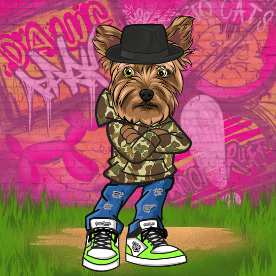 Yorkshire Terrier 412