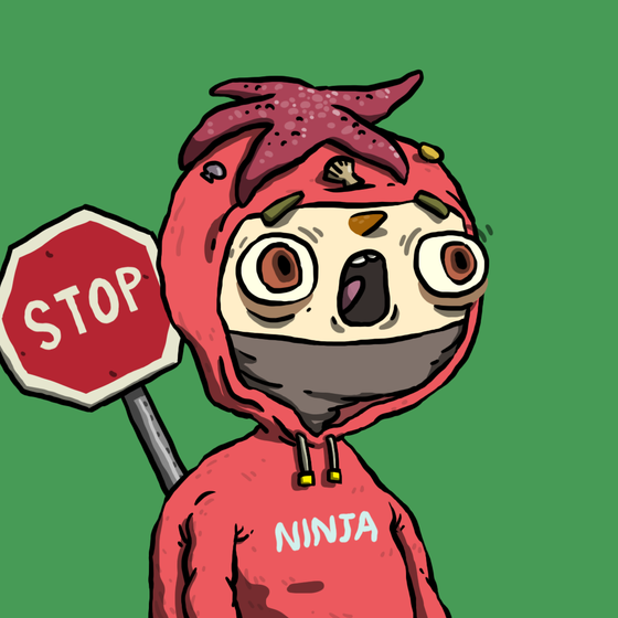 Ninja #3207