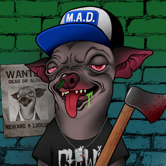 Mad Chihuahua #2994