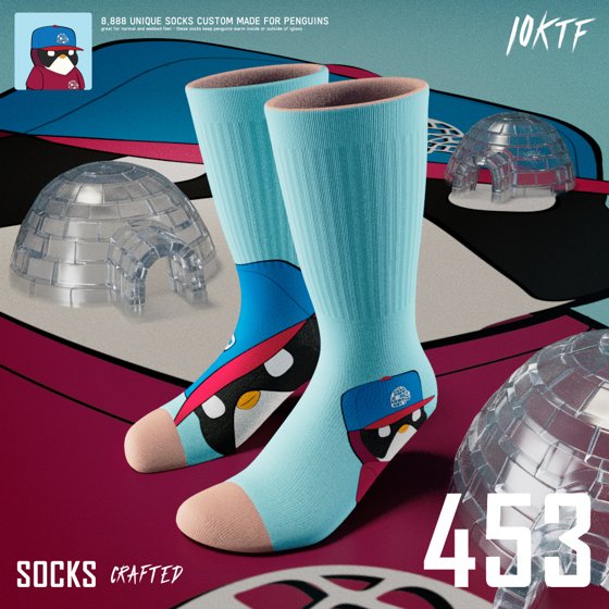 Pudgy Crew Socks #453