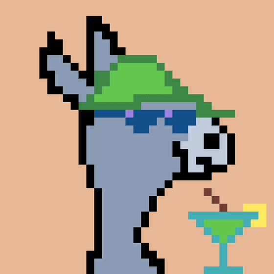 CryptoDonkey #58