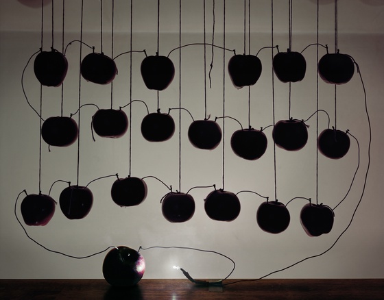 Back to Light - Battery with Hanging Apples, 2013