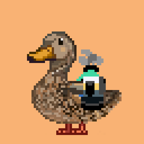 Mallard #3609