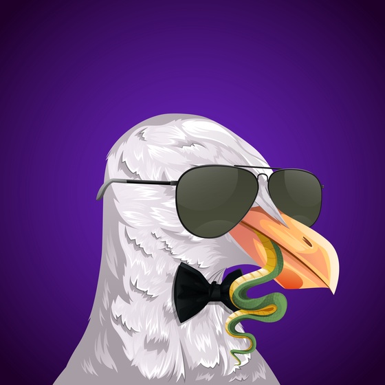 #121 Seagull