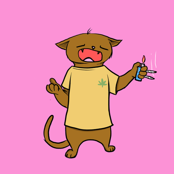 Blazed Cat #7051