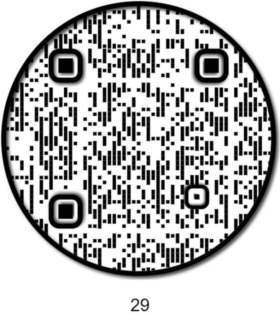 APE QR #29