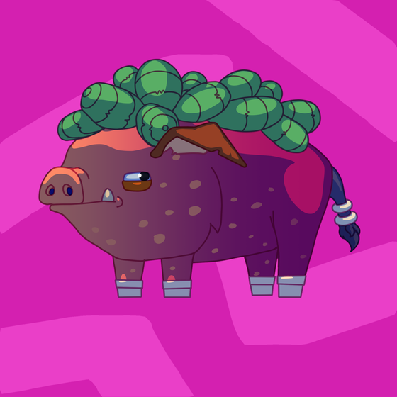 Pig #0503