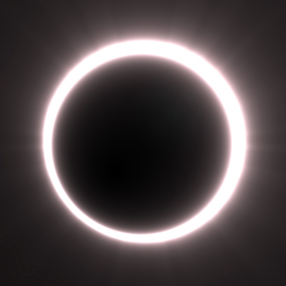 Totality #320