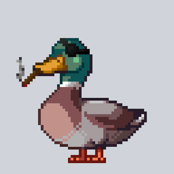 Mallard #8780