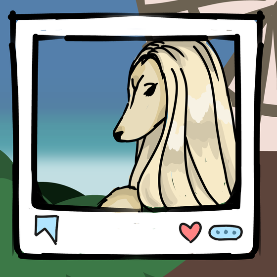 旅する犬 #1181