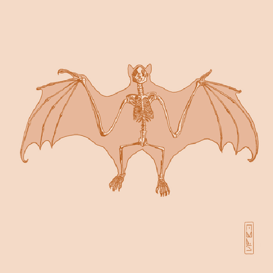 Bat