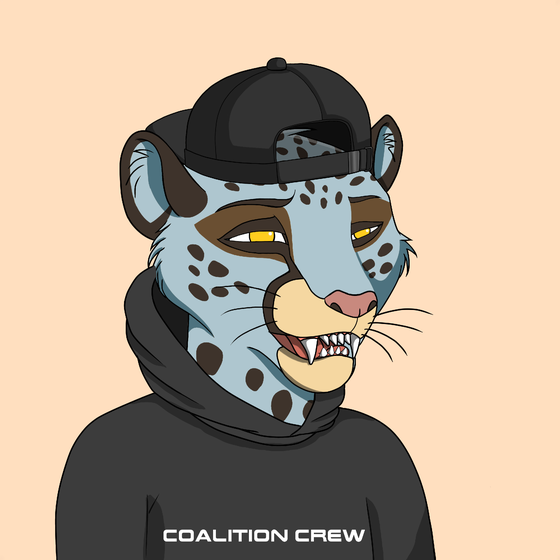 Coalition Crew 2.0 #635