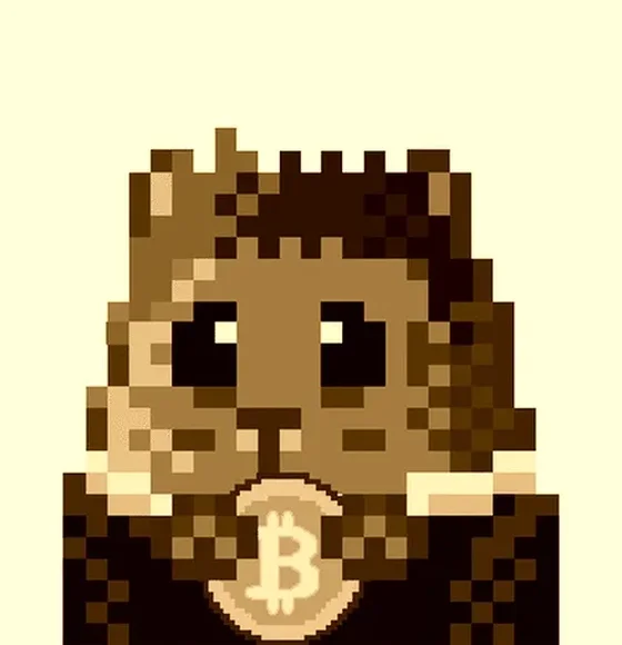 [LIMITED EDITION] Cryptohamster Elon Musk WOW edition