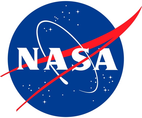 NASA Insignia