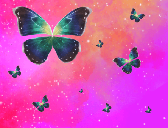Butterfly Cosmos
