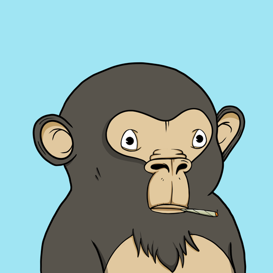 Pudgy Ape #2848