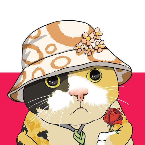 Puzzled cat #5429
