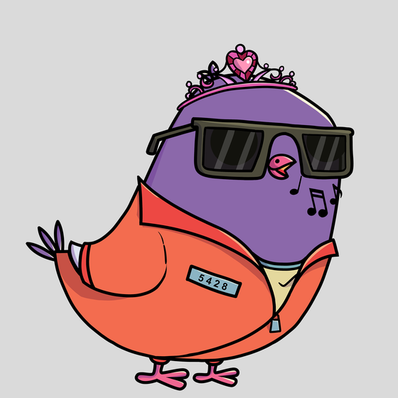 Pigeon #6404