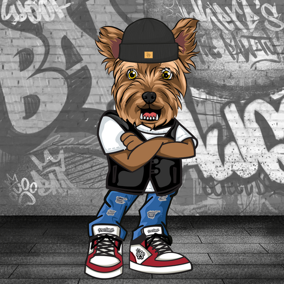 Yorkshire Terrier 2952