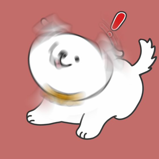 DogDrill#999
