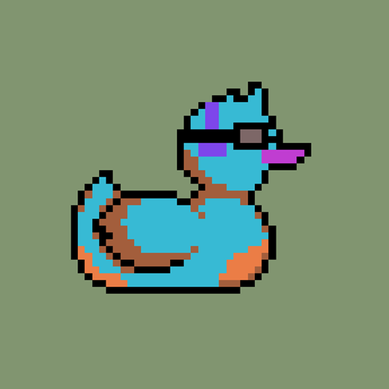 Duck #26