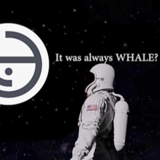 It was always $WHALE