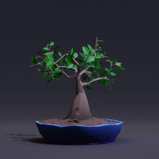 Bonsai #7293