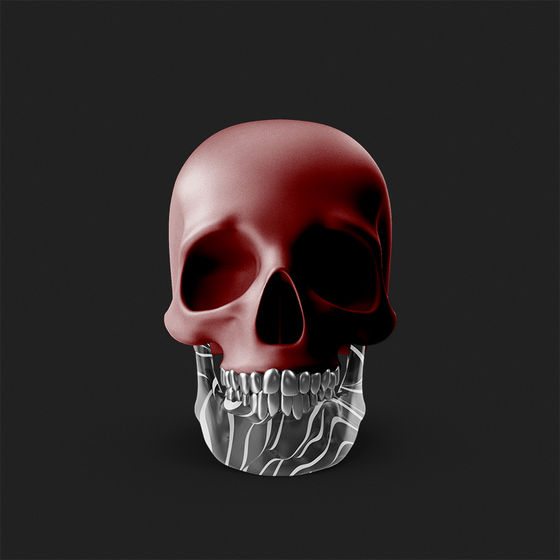 Skull #750