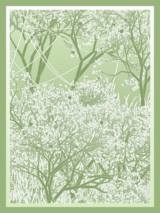 Entangled #11