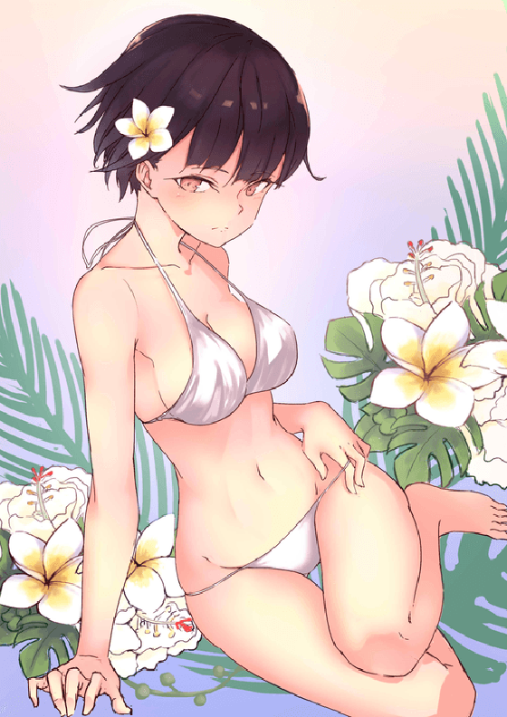 plumeria