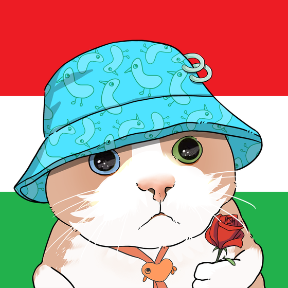 Puzzled cat #392