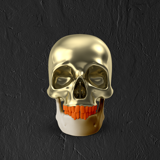 Skull #671