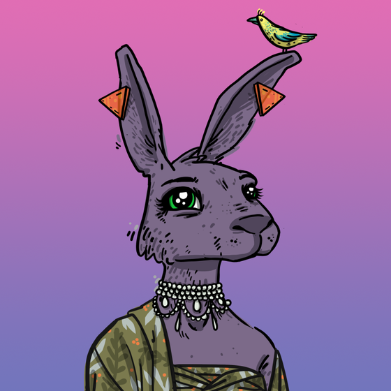 Kool Rabbits #205