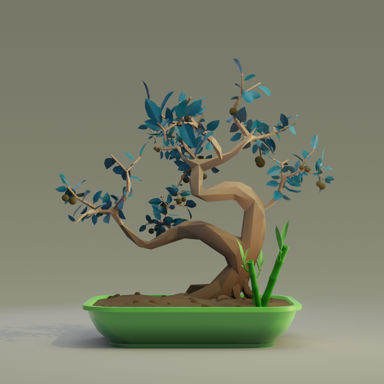 Bonsai #6795