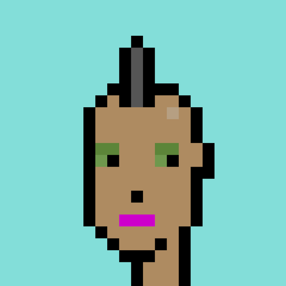 V2 Phunk #8509