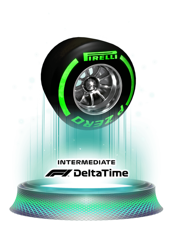 Intermediate Tyres