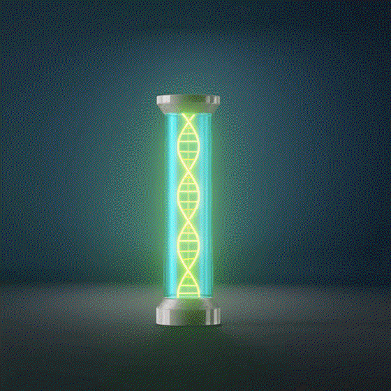 DNA Tube