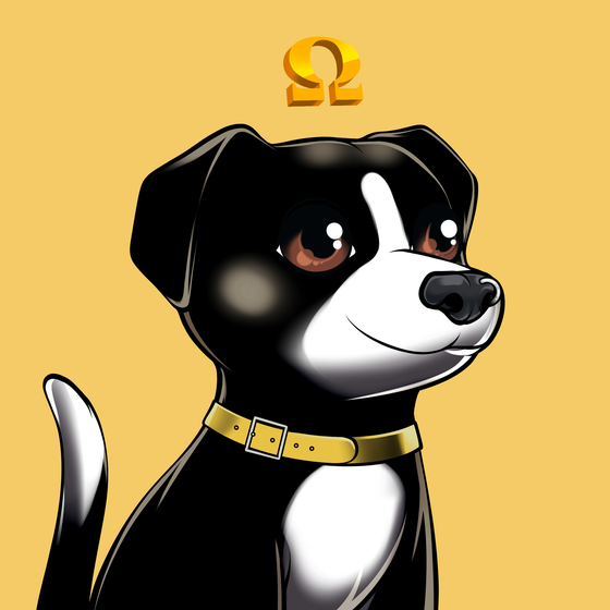 Dog #2946