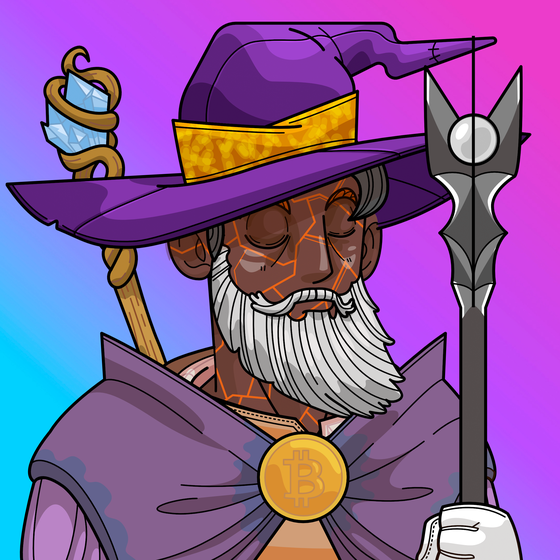 Wizard 1667