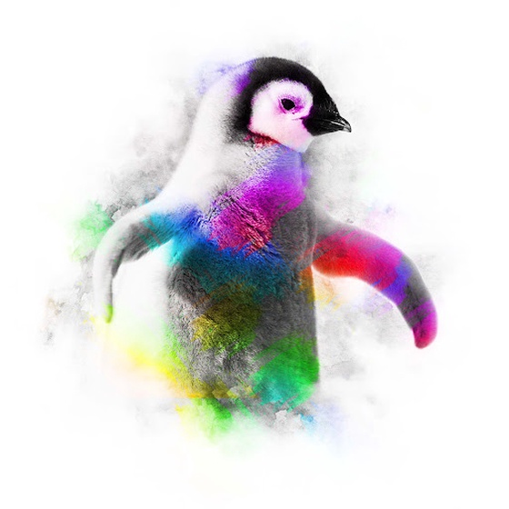 PSYCHEDELIC BABY - PENGUIN