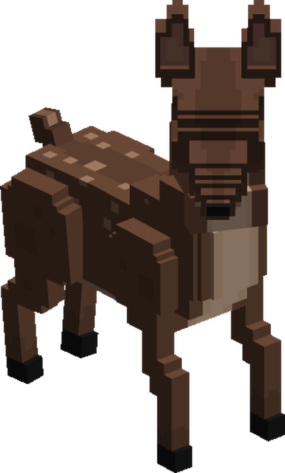 Fawn
