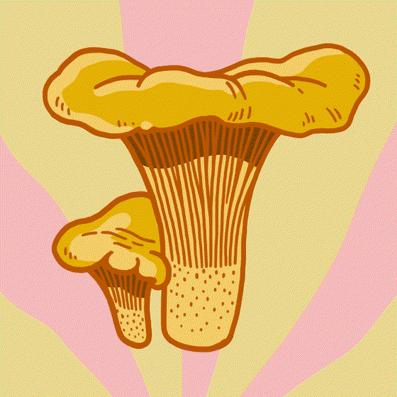 Dirty S3 Chanterelle 3/10